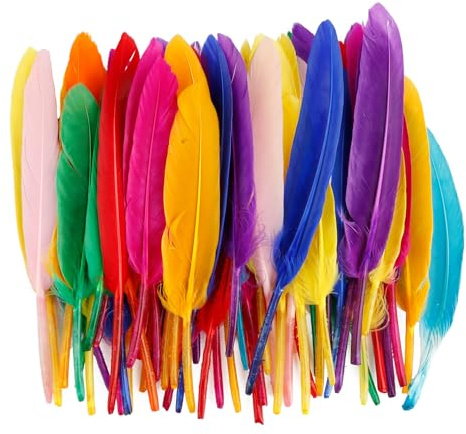 Tabanzhe 50 PCS Colorful Feathers,Natural Soft Goose Feathers,Feather Decoration Crafts for DIY Dream Catcher Hat Vase Mask