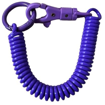 QishGO Porte-clés en spirale extensible, porte-clés rétractable à ressorts hélicoïdaux, porte-clés en alliage de zinc, porte-clés de couleur pour sac à dos