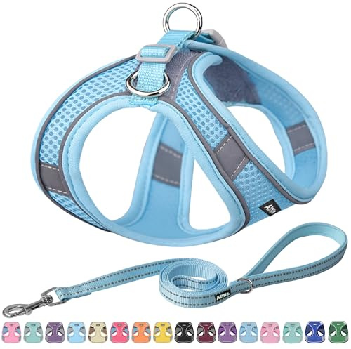 AIITLE Small Harness for Puppy with A Leash - Dog Vest Harness with Super Breathable Mesh, Reflective No-Pull Pet Harness for Outdoor Walking, Running for Small Dogs, Cats Pure Blue XXS