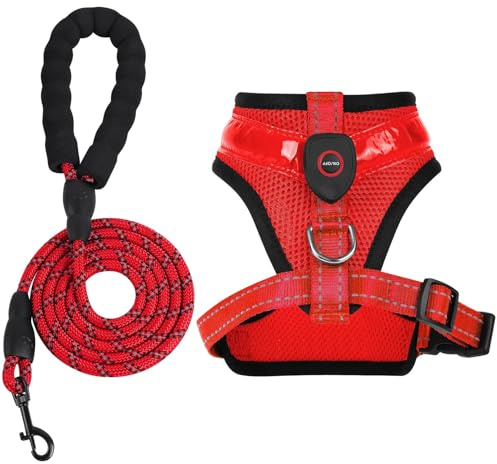 AUAUY Luminous Dog Harness, LED Rechargeable, Reflective, 3 Modes, Breathable Light Harness with 1.5 m Lead, Adjustable Dog Safety Vest Lights for Night Walks, Red/S