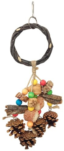 NUEAYMS Giocattolo Pappagallo Perline Legno Colorate con attività Arrampicata da Masticare Altalena per Piccoli Uccelli E Gioco Interattivo Giocattolo Uccelli Frutta Stellata