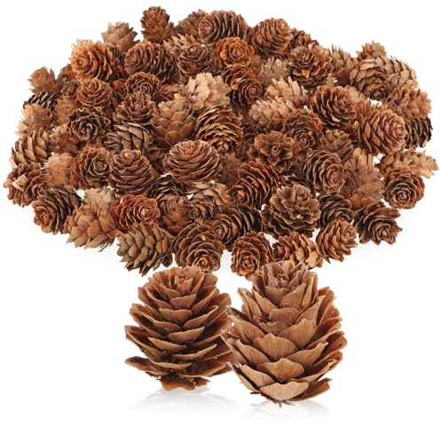 com-four® 100x cônes de mélèze décoratifs - décorations dispersées pour l'automne et l'hiver - Petits cônes de mélèze comme décorations de Table - décorations de Noël (100x cônes de mélèze Naturel)