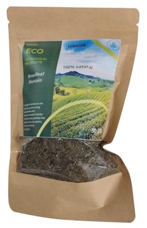 Llantén, Llanten Planta, Planta llanten, Hojas en roseta, Inflorescencia vertical, Cuidado de la piel, Propiedades Naturales, Llanten Natural, Hierba Llanten, Plantago, Planta Plantago, hojas llanten.