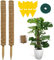 Hongyans 2 Piezas Tutores para Plantas Trepadoras 50cm Fibra de Coco Soporte Tótem de Coco para Enredaderas Monstera con Bridas Cables, Cuerda de Yute, Trampa para Moscas