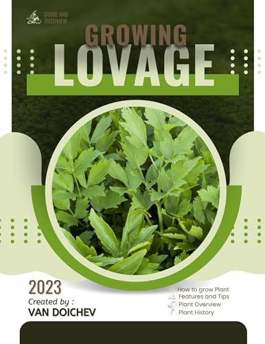 Lovage: Guide and overview