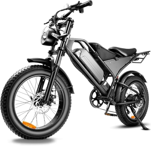 Bicicleta eléctrica para adultos con motor de 250 W, hombre bicicleta eléctrica de cross, bicicleta eléctrica de 20 x 4,0 (fatbike), batería de 48 V y 18 Ah, autonomía de 30-60 km, motocross eléctrico