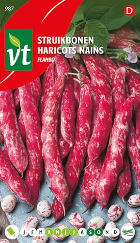 Haricots Flambo - Graines enrobées simplifient le semi