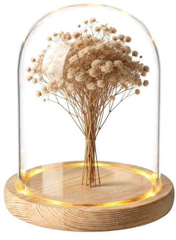 BORDEAG Campana in vetro con fondo in legno, campana decorativa in vetro con fondo in legno, cupola di vetro con base in legno naturale, decorazione a cupola di vetro alta, 12 x 16 cm, per bambole