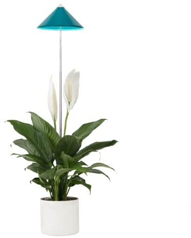 Parus by Venso SUNLiTE LED Pflanzenlampe klein 7W Petrol, Wachstumslampe mit Teleskopstab, Grow Light für Zimmerpflanzen und Grünpflanzen