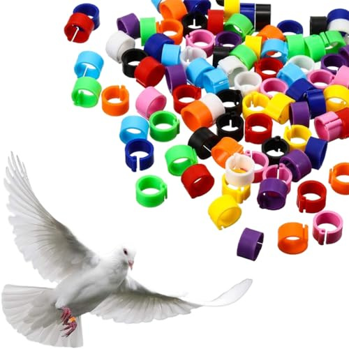 OQKAHIV 100 pcs Anillos para Canarios - 8mm Bandas de Patas en Plástico - Juguetes y Encantos para Pollitos, Aves y Pollos - Anillo de Pie para Canarias, Color aleatorio