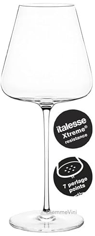Generico Calici da Spumante Etoilé Sparkle, Vetro Cristallino Xtreme Italesse, 480 cc, 7 Punti di Perlage, Set da 6