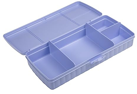 Tupperware Pausenbuffet - Brotdose mit Einteilung + Ketchuplöffel erdbeer