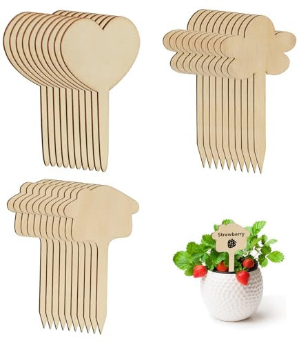 Bekecidi Lot de 30 étiquettes de plantes en bois imperméables pour plantes en pot, serres et herbes | Étiquettes réutilisables pour plantes en bambou