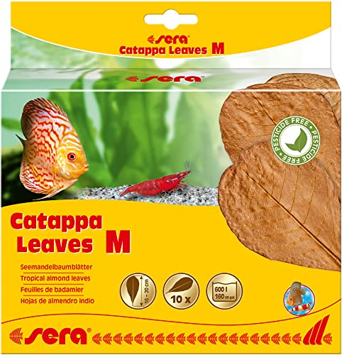 sera Catappa Leaves - Seemandelbaumblätter für die natürliche Wasseraufbereitung, M (10er Pack)