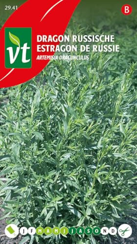 Russian tarragon herb seeds
