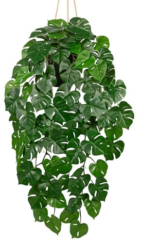 Arborus konstgjorda växter som äkta i kruka, konstgjord hängväxt i kruka, monstera, konstgjorda växter i kruka, 20 cm, krukväxter, deskalllansar för bord, dekoration, badrum, dekoration, vardagsrum,