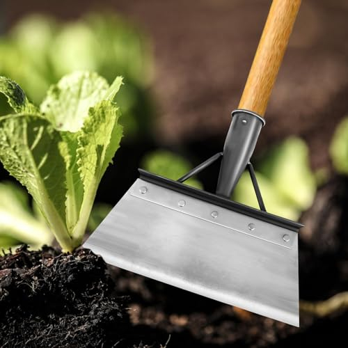 XTDMJ Multifunktionale Gartenschaufel Reinigungsschaufel, Unkraut Entferner Gerät Gartenwerkzeug Gartengeräte für Unkraut und Moos,Garten-Reinigungsschaufel, Unkraut jäten, Pflanzen(21cm)