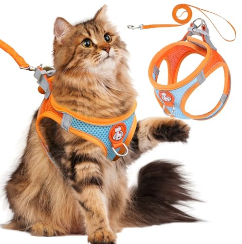 SilverChry Pettorina per Gatti con Guinzaglio, Pettorina Gatto Antifuga con Guinzaglio, Traspirante e Facile da Indossare con Strisce Riflettenti per Gatti e Cani di Piccola Taglia (M-Arancione)