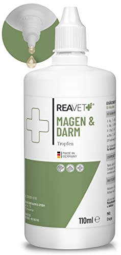 ReaVET Magen & Darm Tropfen für Hunde 110ml I Darmsanierung Hund I Liquid unterstützt die Darmflora & natürliche Darmregulierung - sekundierend bei Durchfall oder Blähungen