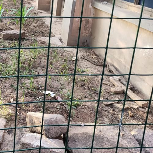 HGOuhK Recinzione Recinzione in Rete Metallica, Rivestita in PVC, Maglia 6 cm, Diametro Filo 2,8 mm, for Giardino, Cortile, Zoo Recinzione da Giardino