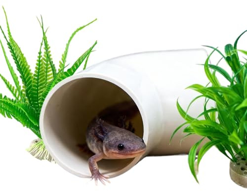 Cueva Ajolote Con Tubo De Plantas Artificiales Y Casa Pequeña