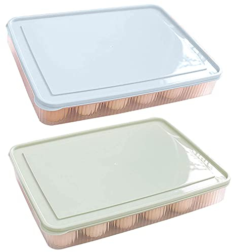 Kunststoff Eierschachtel 2 Stück Eierschrank, Eierbehälter für Kühlschrank mit Deckel, Aufbewahrung Eier, Eier Behälter Plastik, Eieraufbewahrungsboxen für 48 Eier, Eieraufbewahrer Kühlschrank