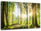 Feeby Bilder Wald Baum Sonne 80x60 cm Wohnzimmer Schlafzimmer Büro Flur Küche Wandbilder Modern Bild auf Leinwand Wanddekoration Kunstdruck Design Natur Landschaft Grün