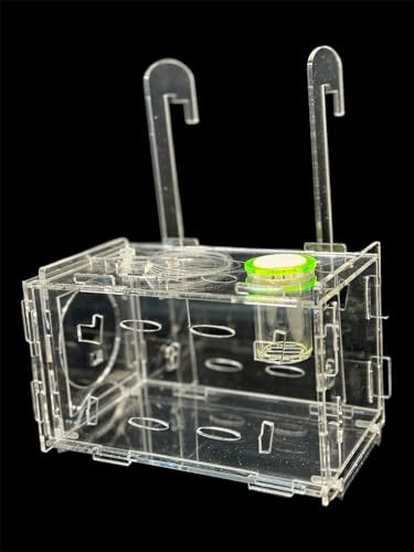 Medium Fish Trap for Aquariums/Acclimation Box