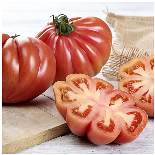 Semillas de Tomate Corazón de Buey para Huerto Urbano Semillas Fáciles de Germinar