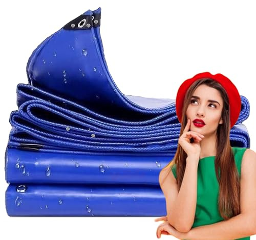 WLRHGl Telone protettivo in tela resistente, 2.5 x 4.5 m con rivestimento in PVC, resistente a strappi, acqua e muffa, ideale per auto, moto e rimorchi WLR010, Blu