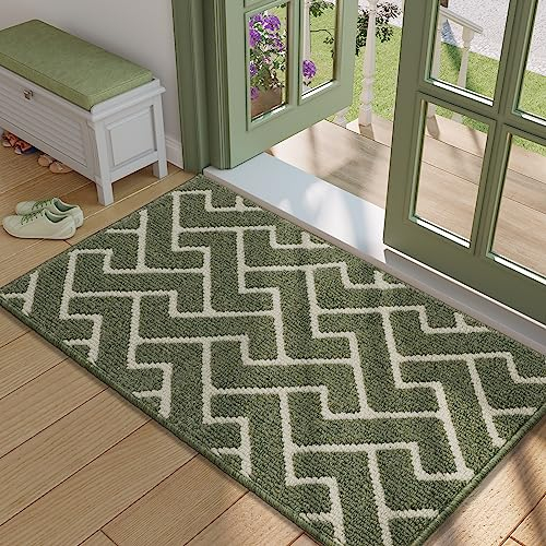 Biscpro Indoor Door Mats,60x90cm Door Mat Non Slip Backing,Dirt Trapper Mat Absorbent Non-Slip Doormat for Entrance,Inside,Kitchen,Front Back Door,Pets and Garden-Green