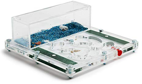 AntHouse - Ameisenfarm aus Acryl - Lehrset mit Schwamm 15x15x1,3 cm (Gratis Ameisen)