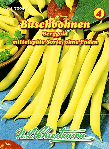 Buschbohnen, Berggold mittel, gelb, ohne Fäden N.L.Chrestensen Samen 472037-B