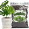 GOTVUGE Monstera Erde für Topfpflanzen - Premium Tropenmischung mit schneller Drainage zum Anbau und Umtopfen von Monstera Deliciosa (Fensterblatt) und Schweizer Käse Pflanzen (1L)