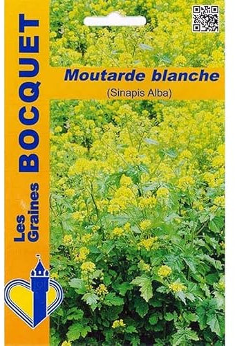 Sachet de graines de Moutarde blanche (Sinapis Alba) - 100 g - fleur annuelle - LES GRAINES BOCQUET