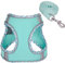 Katzengeschirr Hundegeschirr Kleine Hunde mit Leine, Reflektierend No-Pull Hunde Geschirr mit Leine, Weich Hunde Brustgeschirr für Welpen Kleine Hunde-Air Green, XS