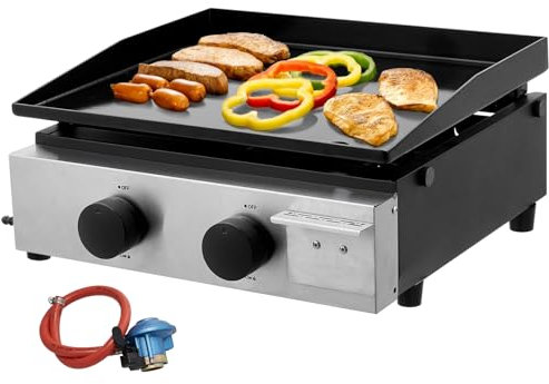 Warmiehomy 2 Burner Portable Gas BBQ Barbecue Grill, Small Gas BBQ Grill Ceramic Coated Cast Iron Plate with Built-in Thermometer for Outdoor Camping Cooking, 45x46x21cm