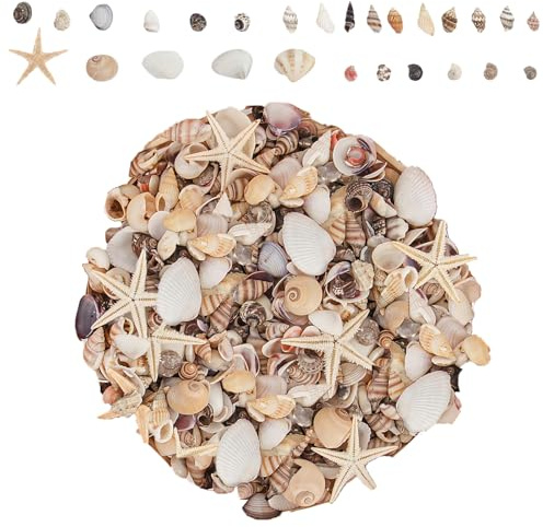 1200 PCS Mini Sea Shells Set, Small Natural Mixed Seashells for Crafting | Ocean SeaShells Starfish for Beach Theme Party, Wedding, DIY Crafts, Fishtank, Vase Filler, Home Decoration