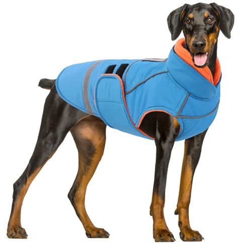 CITÉTOILE Hundejacke mit Klettverschluss – Reflektierend, Führungsöse & wärmender Kragen – Leichtes Wintercoat mit weicher Füllung, Blau, XL